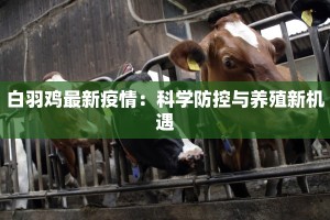 威海疫情现况最新消息