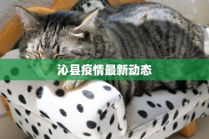 沁县疫情最新动态