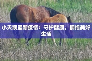 陕西阳泉疫情最新消息：科学防控，共克时艰