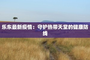 乐东最新疫情：守护热带天堂的健康防线