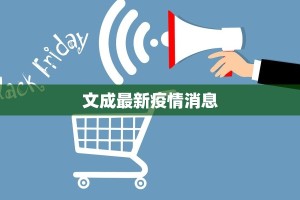 文成最新疫情消息