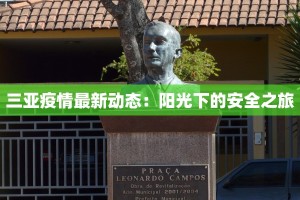 河源最新疫情实况：科学防控，安心生活