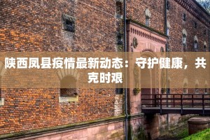 陕西凤县疫情最新动态：守护健康，共克时艰
