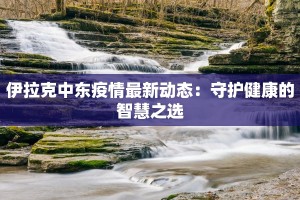伊拉克中东疫情最新动态：守护健康的智慧之选