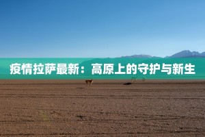 疫情拉萨最新：高原上的守护与新生