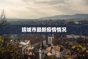 靖城市最新疫情情况