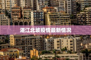 湛江北坡疫情最新情况