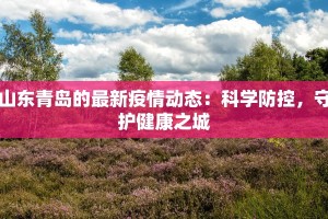 山东青岛的最新疫情动态：科学防控，守护健康之城