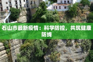 石山市最新疫情：科学防控，共筑健康防线