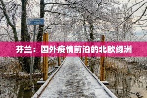 芬兰：国外疫情前沿的北欧绿洲