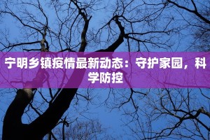 宁明乡镇疫情最新动态：守护家园，科学防控