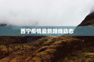 西流湖畔的疫情守护：科学防控与健康生活新篇章