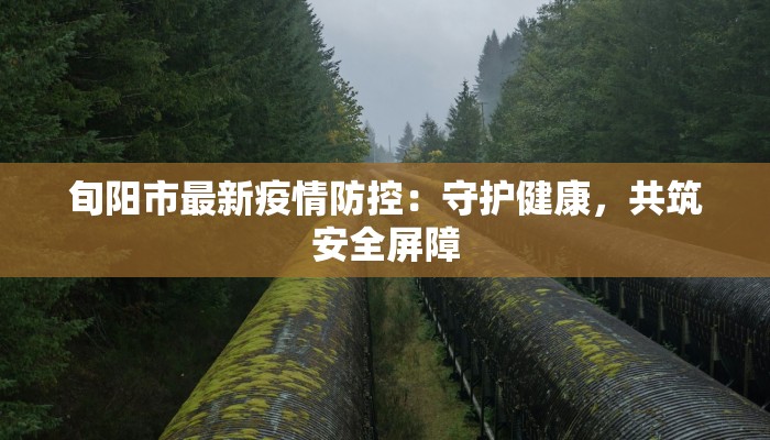 疫情快递最新报告