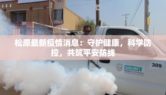 北仑最新疫情防控区域:守护健康,共筑安全防线 北仑最新疫情防控区域:守护健康,共筑安全防线