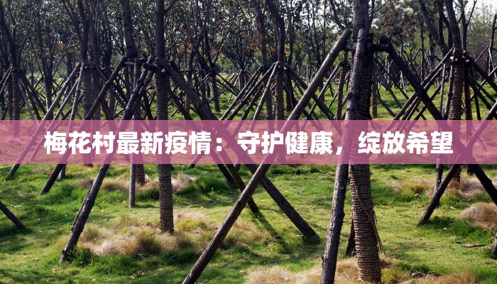 梅花村最新疫情:守护健康,绽放希望 梅花村最新疫情:守护健康,绽放希望