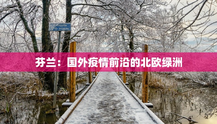 芬兰：国外疫情前沿的北欧绿洲