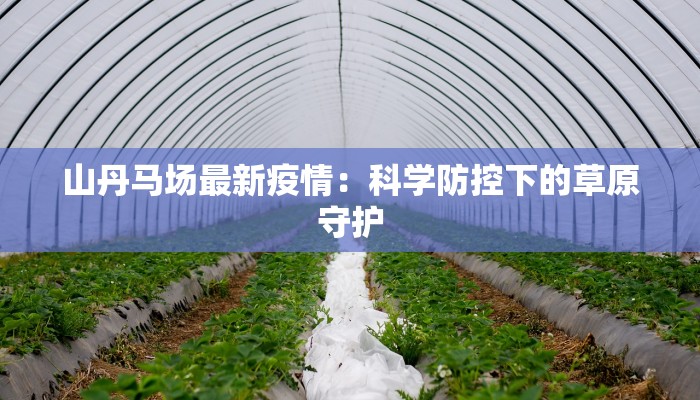 宁明疫情最新通 宁明疫情最新通