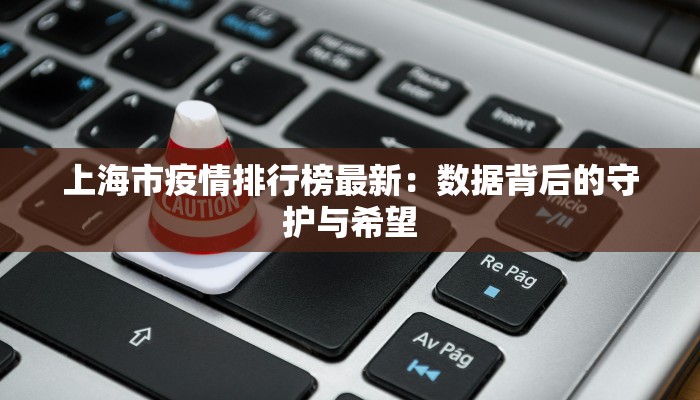 上海市疫情排行榜最新：数据背后的守护与希望