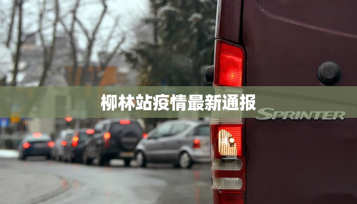 柳林站疫情最新通报 柳林站疫情最新通报