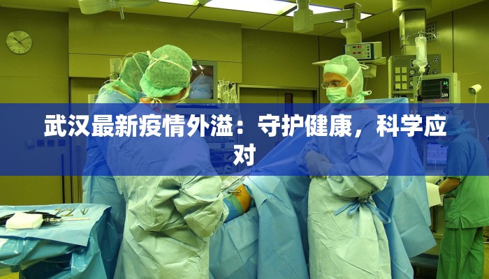 武汉最新疫情外溢:守护健康,科学应对 武汉最新疫情外溢:守护健康,科学应对