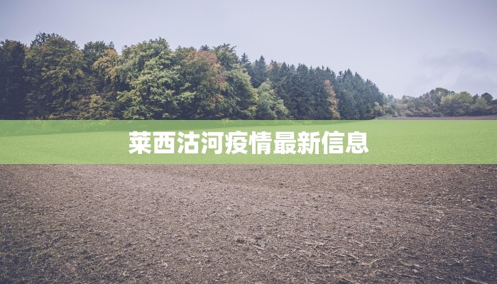 金码酒店最新疫情应对指南：安心入住，健康之旅