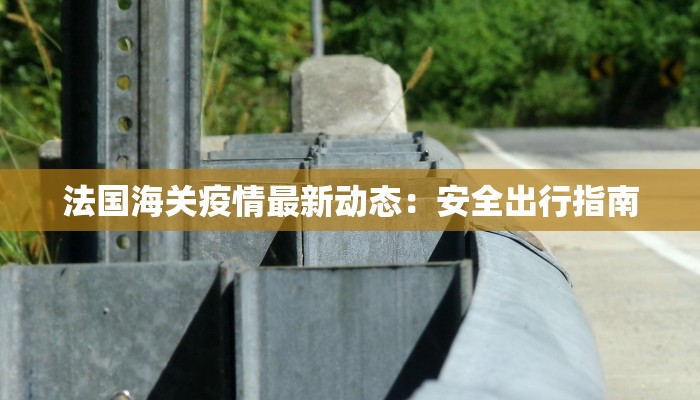 法国海关疫情最新动态：安全出行指南