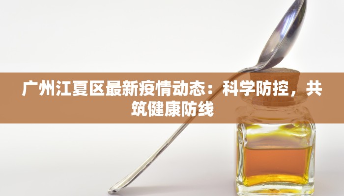 广州江夏区最新疫情动态：科学防控，共筑健康防线