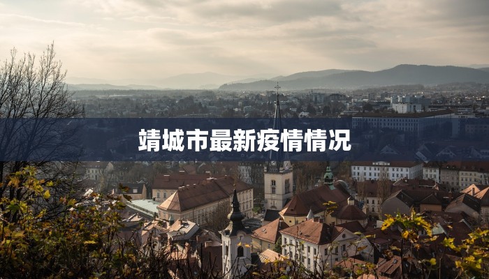 靖城市最新疫情情况