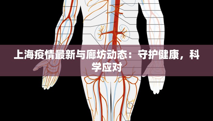 上海疫情最新与廊坊动态:守护健康,科学应对 上海疫情最新与廊坊动态:守护健康,科学应对