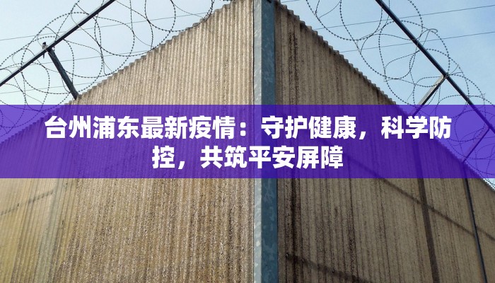 台州浦东最新疫情：守护健康，科学防控，共筑平安屏障