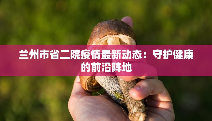 兰州市省二院疫情最新动态：守护健康的前沿阵地