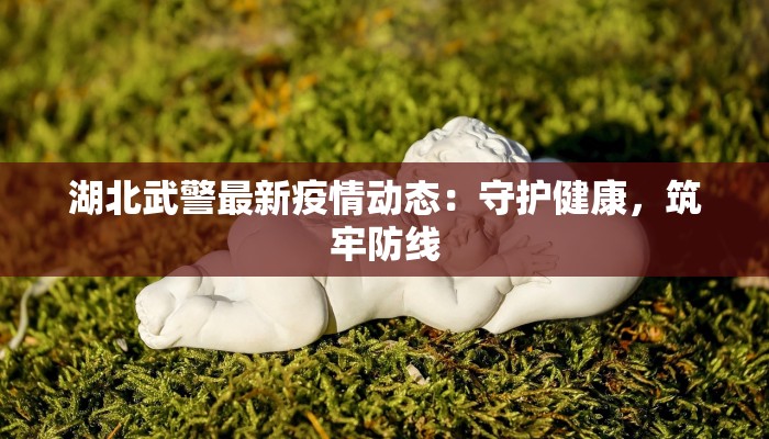 湖北武警最新疫情动态：守护健康，筑牢防线