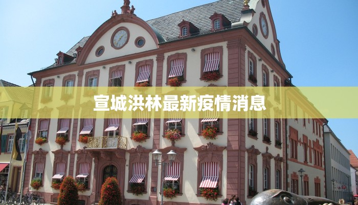 宣城洪林最新疫情消息