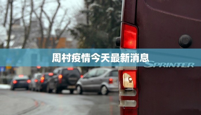 匹兹堡疫情最新报告