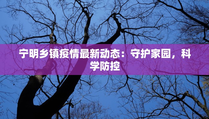 宁明乡镇疫情最新动态：守护家园，科学防控