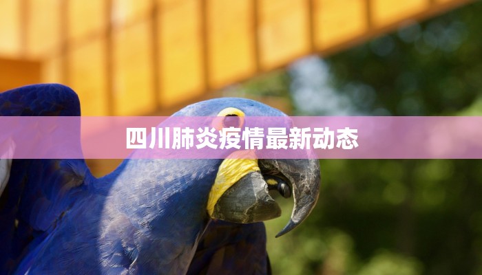 四川肺炎疫情最新动态